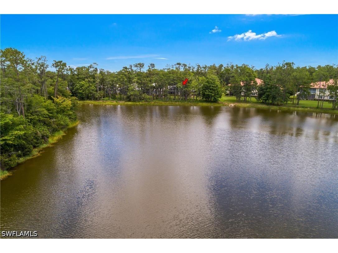 20911 Wildcat Run Drive Estero FL 33928 226022287 image35
