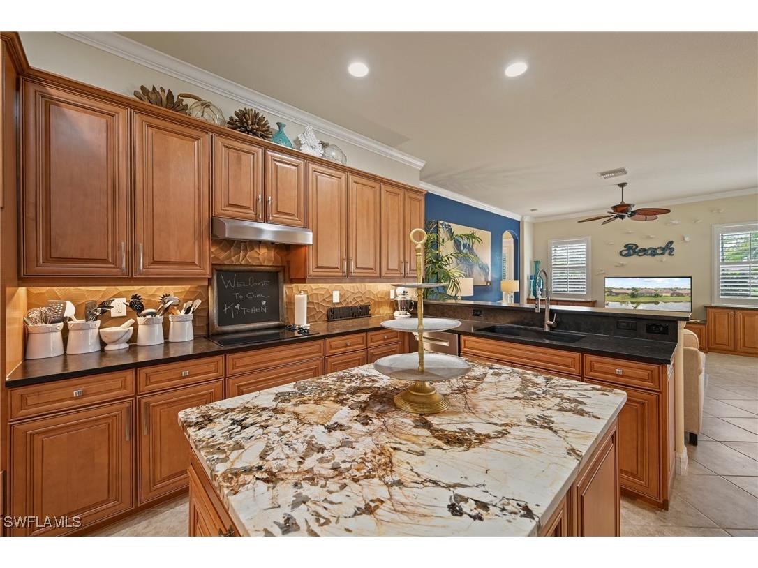 20970 Torre Del Lago Street Estero FL 33928 225078540 image4