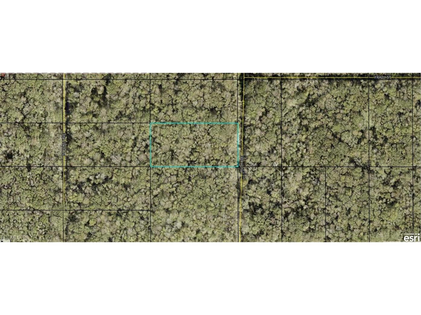 21-10-28-2775-00050-0177 Ruth Avenue Hastings FL 32145 2025008566 image1