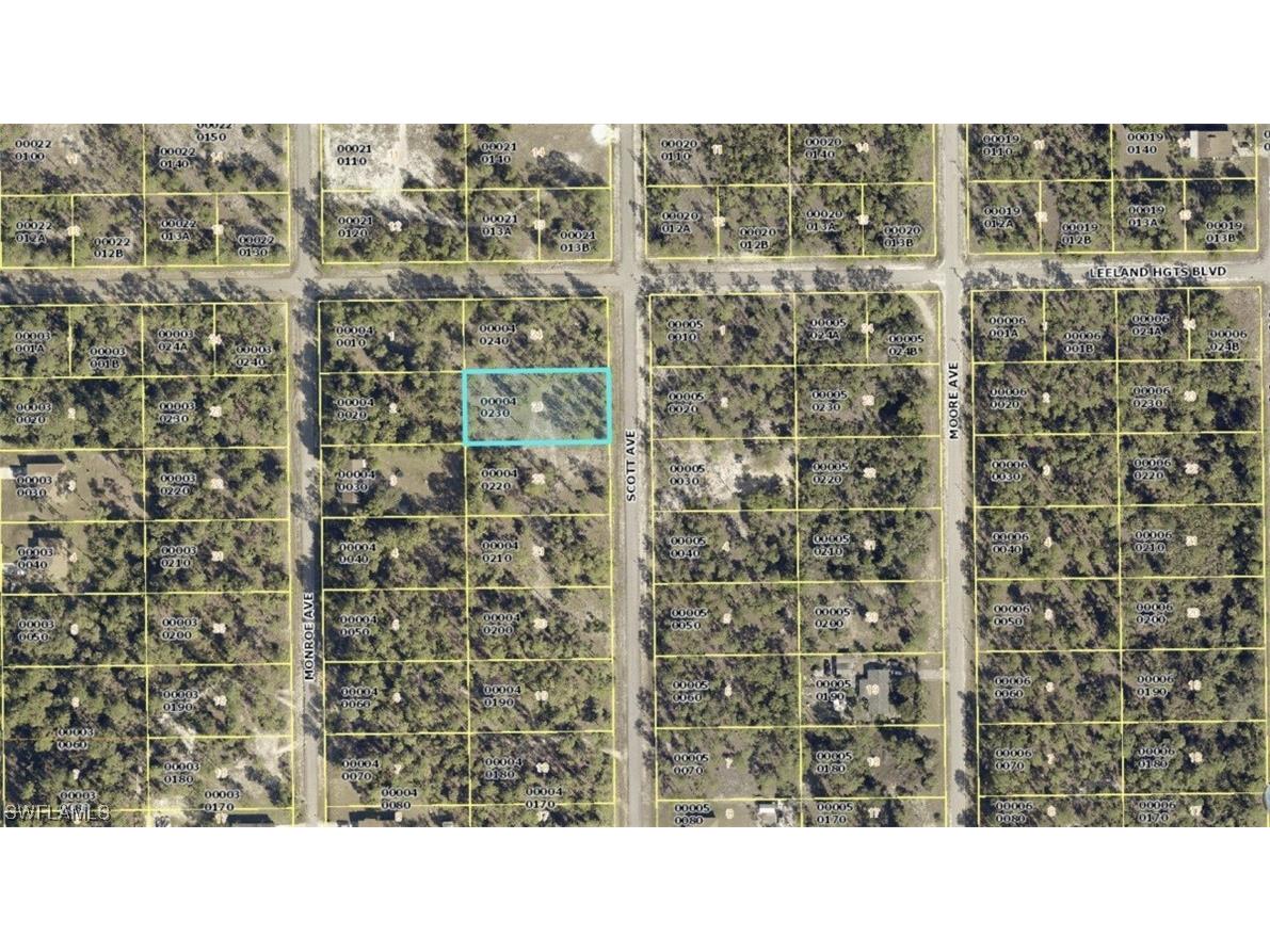 21 Scott Avenue Lehigh Acres FL 33936 223017950 image1