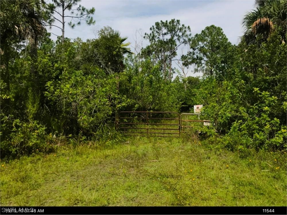 2100 Murray Road Labelle FL 33935 223066978 image1