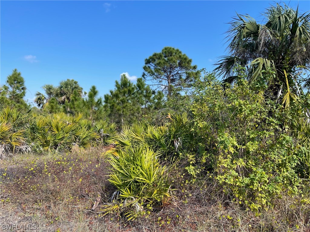 2100 W 11th Street Lehigh Acres FL 33972 223012744 image1