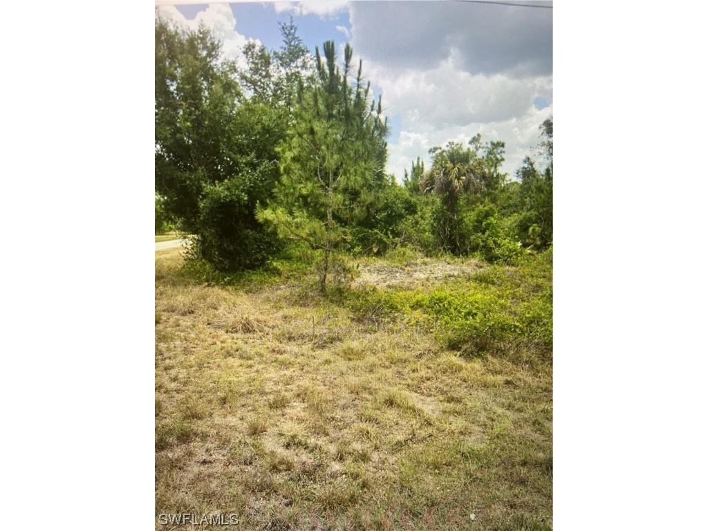 2101 Robert Avenue Alva FL 33920 223087956 image1