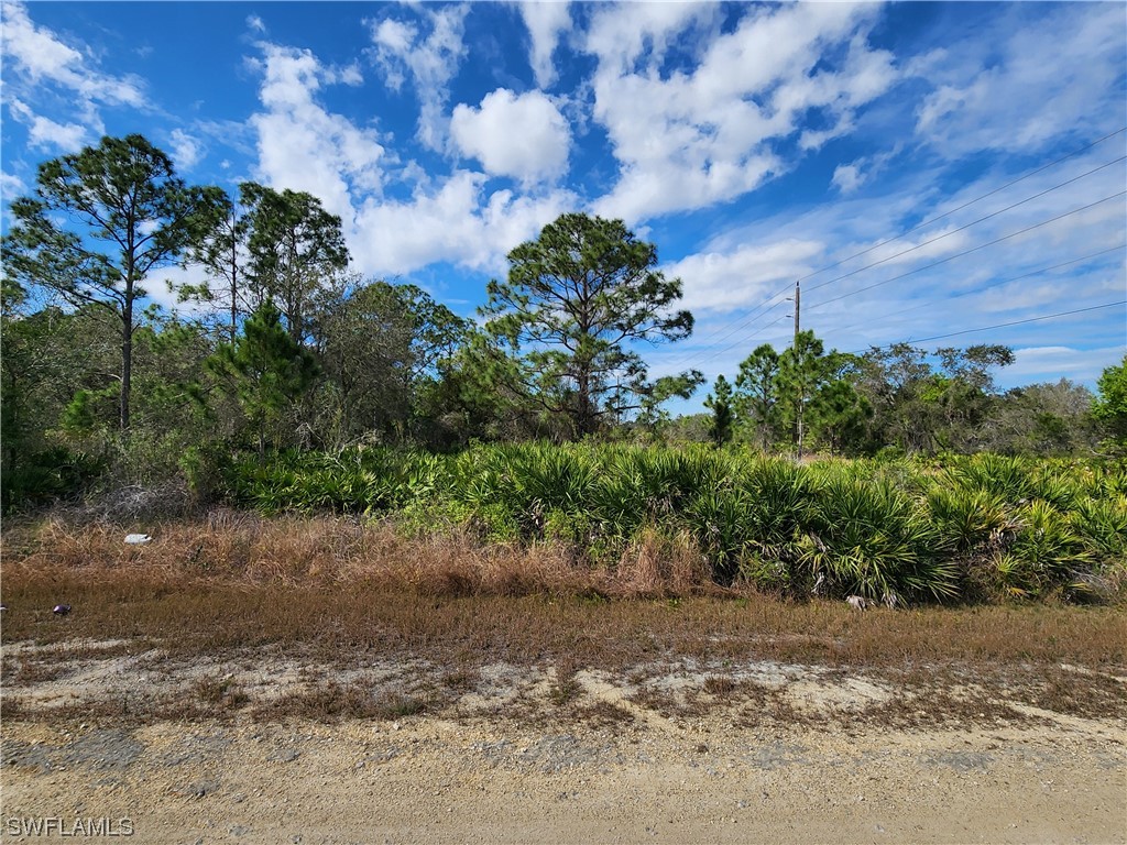 2101 W 17th Street Lehigh Acres FL 33972 224011443 image1
