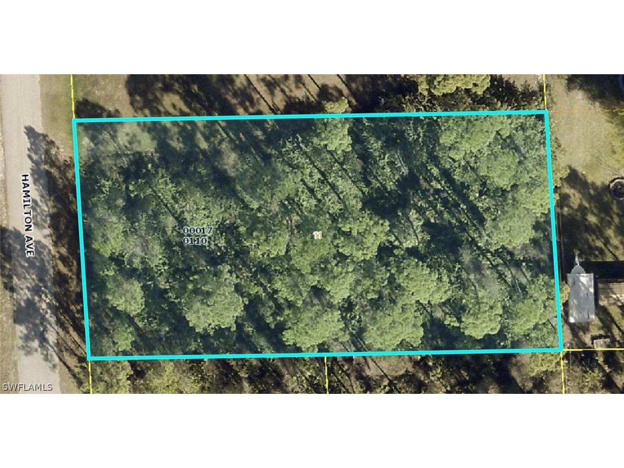 2102 Hamilton Avenue Alva FL 33920 222047111 image1