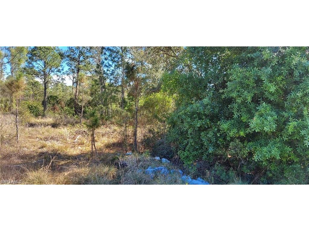 2102 Robert Avenue Alva FL 33920 223059620 image1