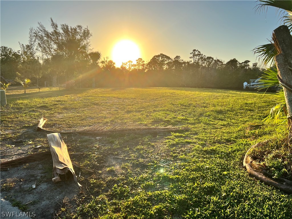 2104 Ottersrest Lane Cape Coral FL 33990 223009963 image1