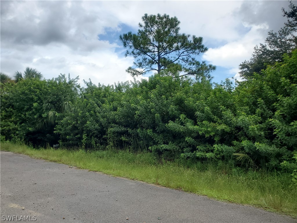 2105 W 12th Street Lehigh Acres FL 33972 222062619 image1