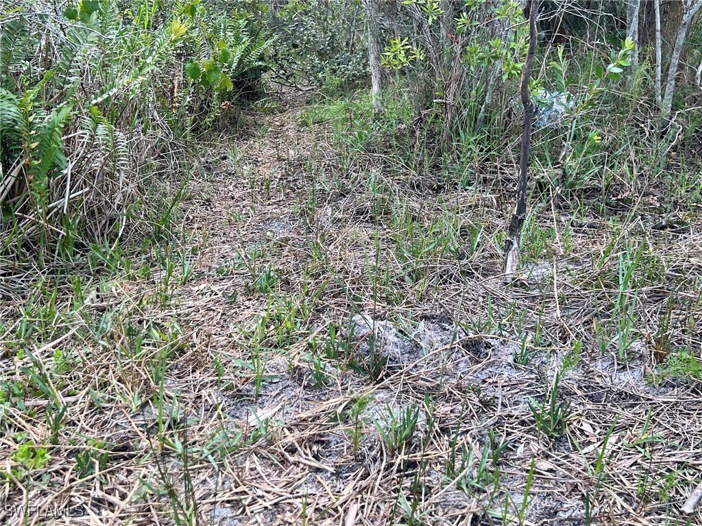 21061 Granville Road Fort Myers FL 33917 225057311 image8