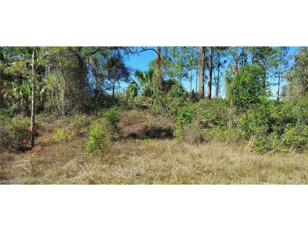 2107 Jefferson Avenue Alva FL 33920 223059618 image1