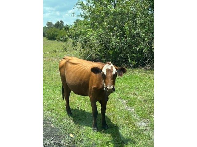 21081 Granville Road Fort Myers FL 33917 225057237 image11