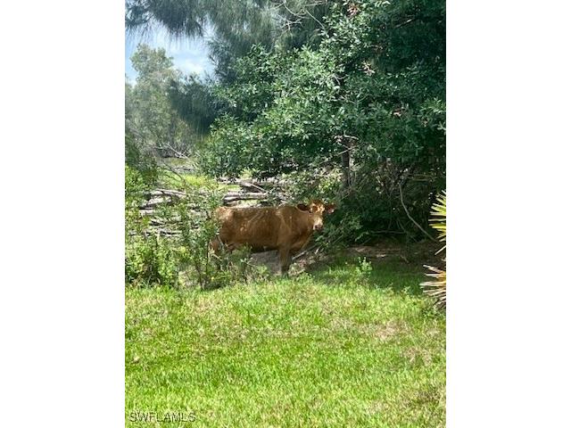 21081 Granville Road Fort Myers FL 33917 225057237 image16