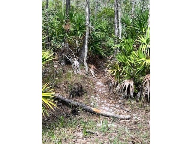 21081 Granville Road Fort Myers FL 33917 225057237 image18