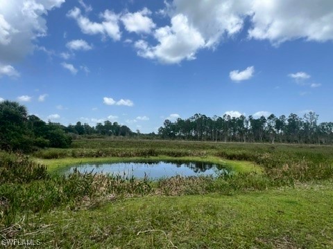 21081 Granville Road Fort Myers FL 33917 225057237 image20