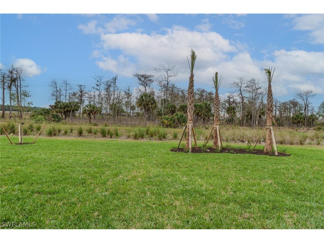 21085 Verawood Loop Estero FL 33928 226008100 image39