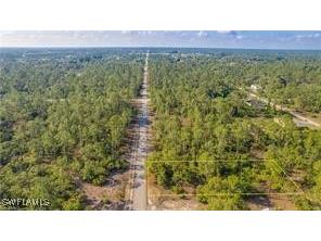 2109 Irving Avenue Alva FL 33920 225063456 image2