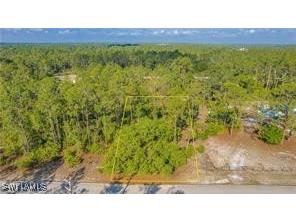 2109 Irving Avenue Alva FL 33920 225063456 image4