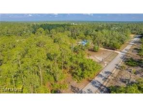 2109 Irving Avenue Alva FL 33920 225063456 image5