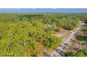 2109 Irving Avenue Alva FL 33920 225063456 image6