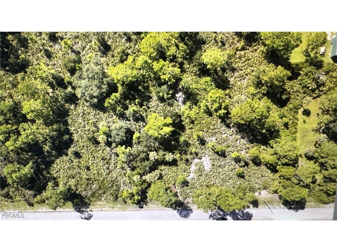 2109 Moore Avenue Alva FL 33920 2025011696 image1