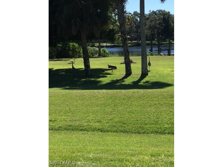 21090 Captain Nelson Court Alva FL 33920 225058193 image47