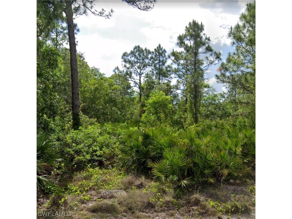 211 Moore Avenue Lehigh Acres FL 33936 223039742 image1