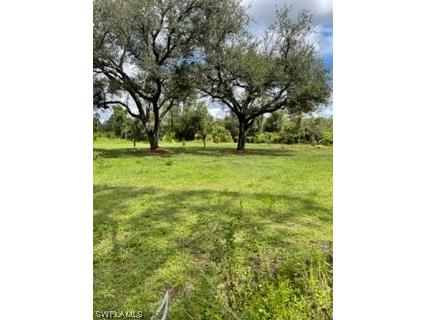 211 Nebula Avenue S Lehigh Acres FL 33974 223070858 image1