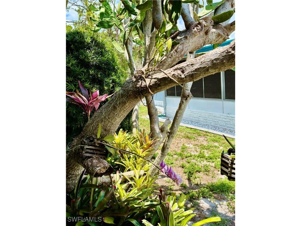 211 Shrub Lane N North Fort Myers FL 33917 225022032 image38