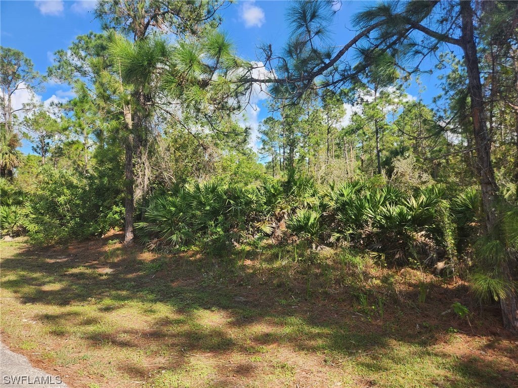 2110 Moore Avenue Alva FL 33920 223041775 image1