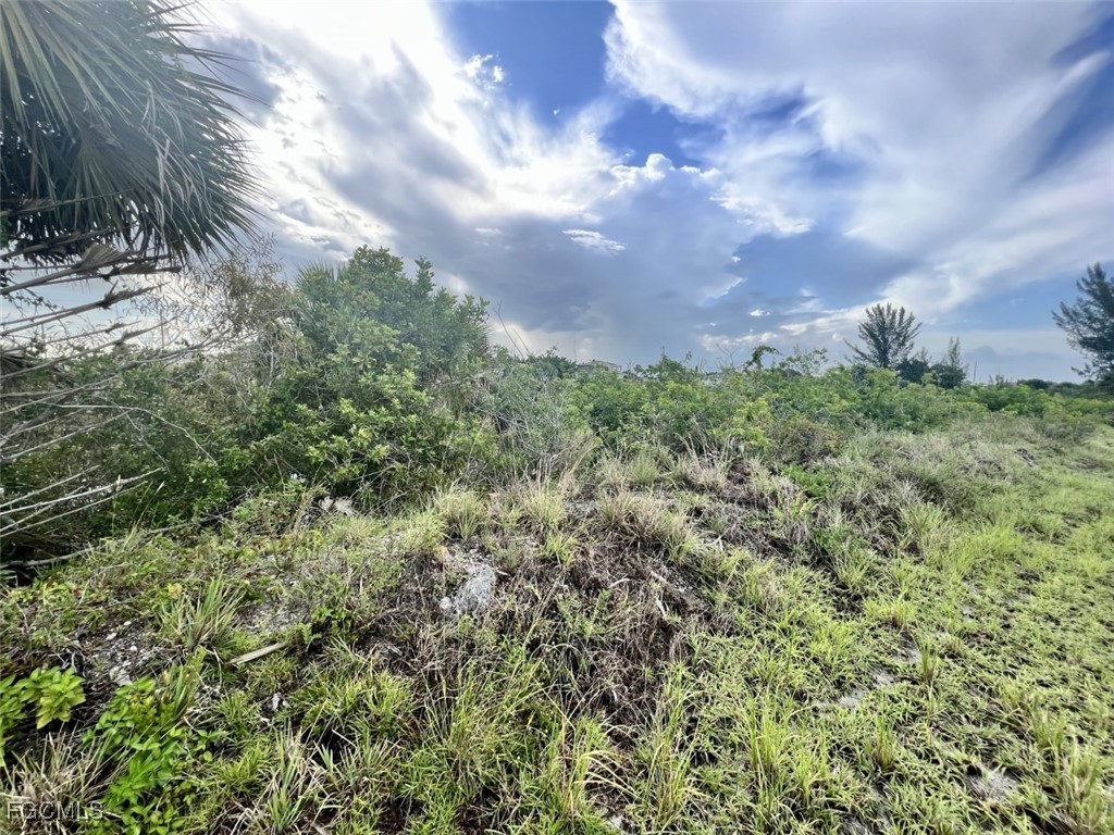 2110 NW 6th Place Cape Coral FL 33993 2025004156 image1