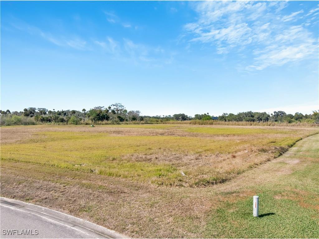 2110 Silk Bay Boulevard Alva FL 33920 226003125 image9