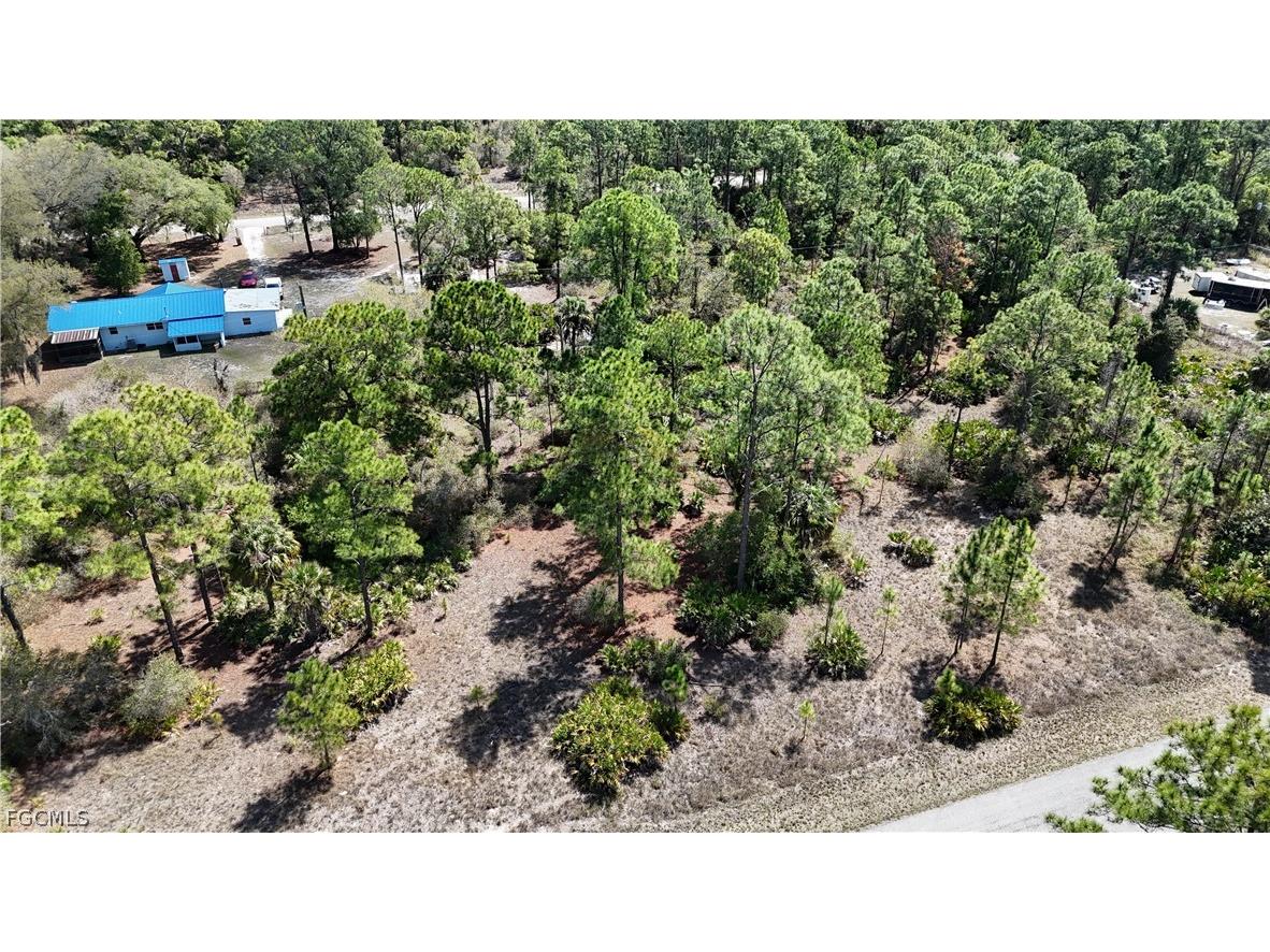 2110 Wells Avenue Alva FL 33920 2026012533 image1