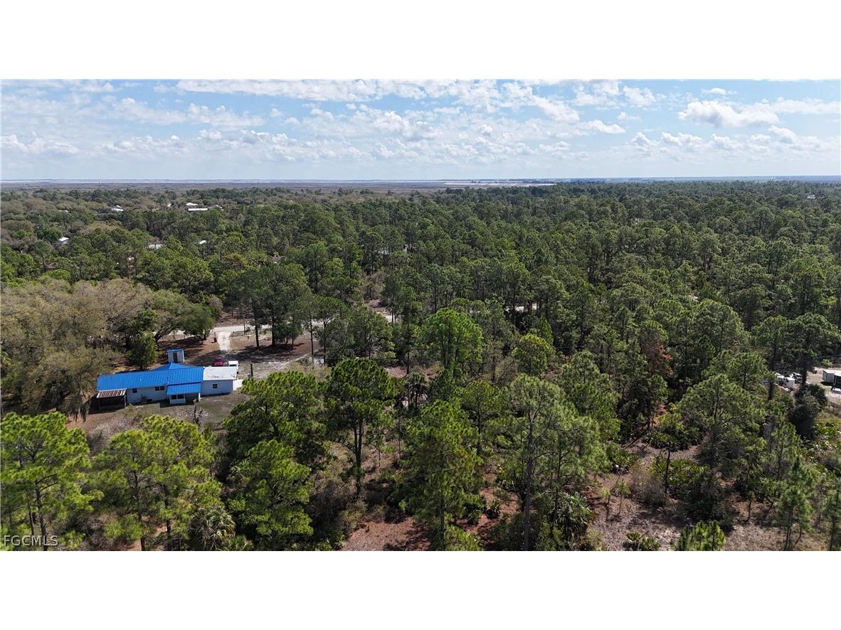 2110 Wells Avenue Alva FL 33920 2026012533 image2