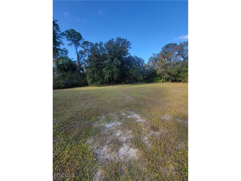 2111 Abbott Avenue Alva FL 33920 2025025007 image17