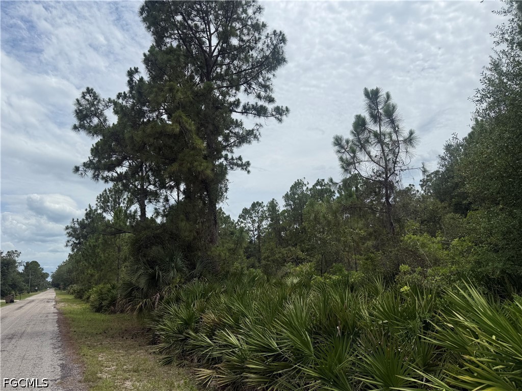 2111 Johns Avenue Alva FL 33920 2026025444 image1
