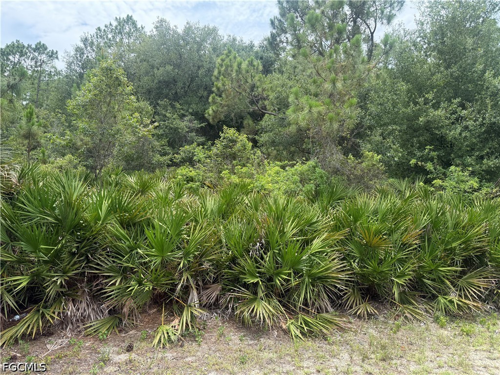 2111 Johns Avenue Alva FL 33920 2026025444 image3