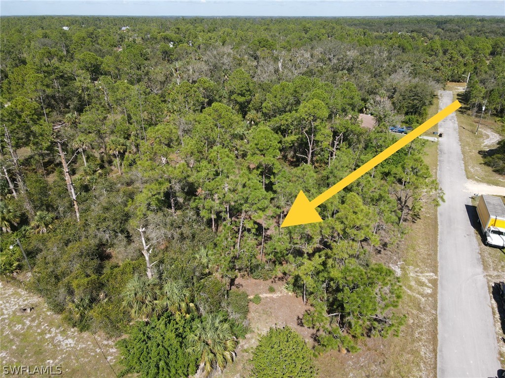 2113 Abbott Avenue Alva FL 33920 224039004 image1