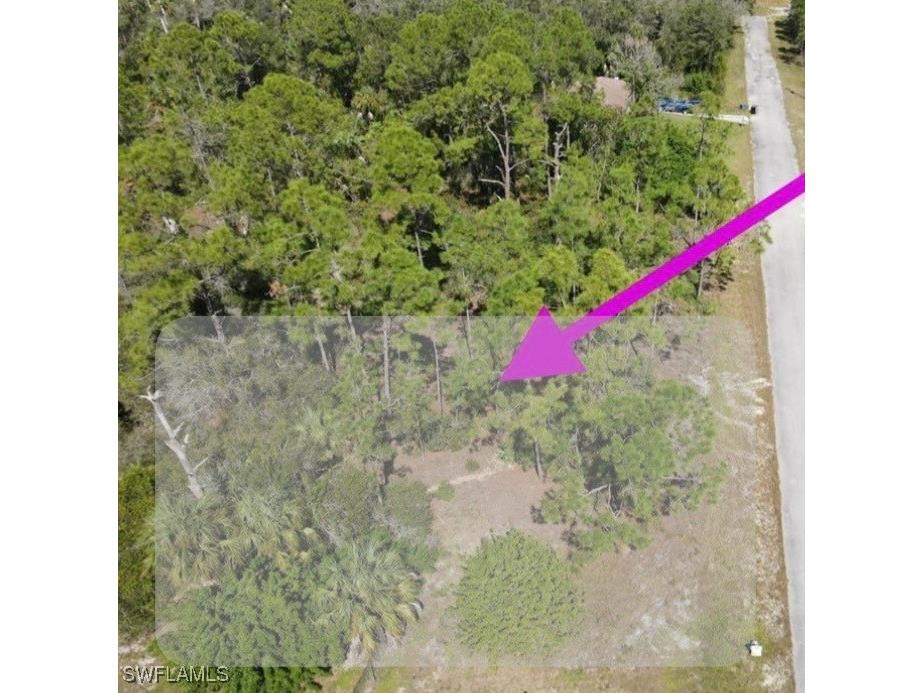 2113 Abbott Avenue Alva FL 33920 224102221 image1