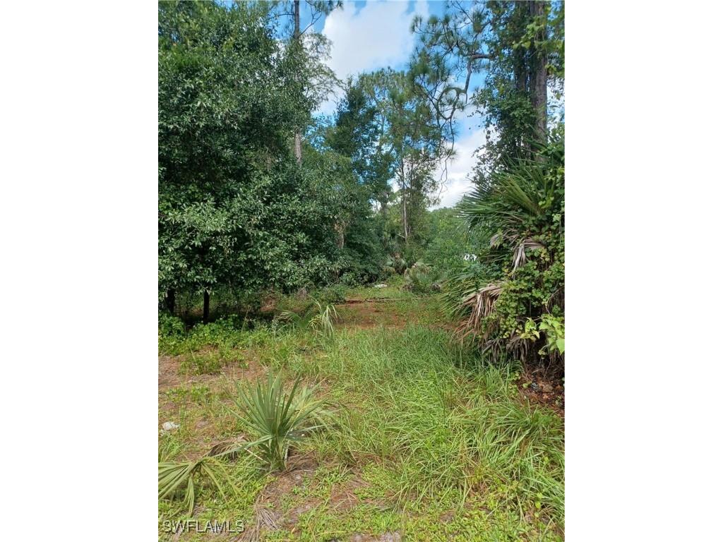 Naples FL 34117 225084475 image2