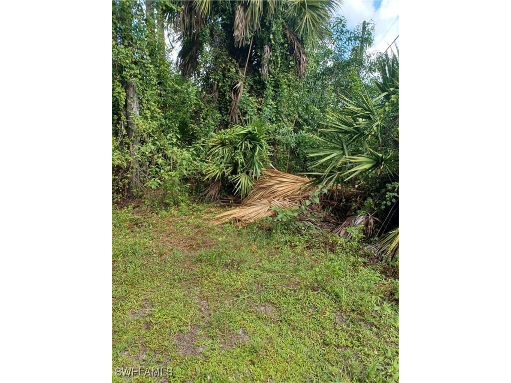  Naples FL 34117 225084475 image3