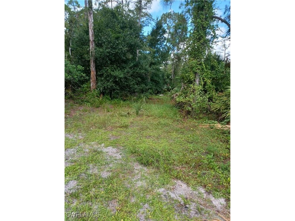  Naples FL 34117 225084475 image4