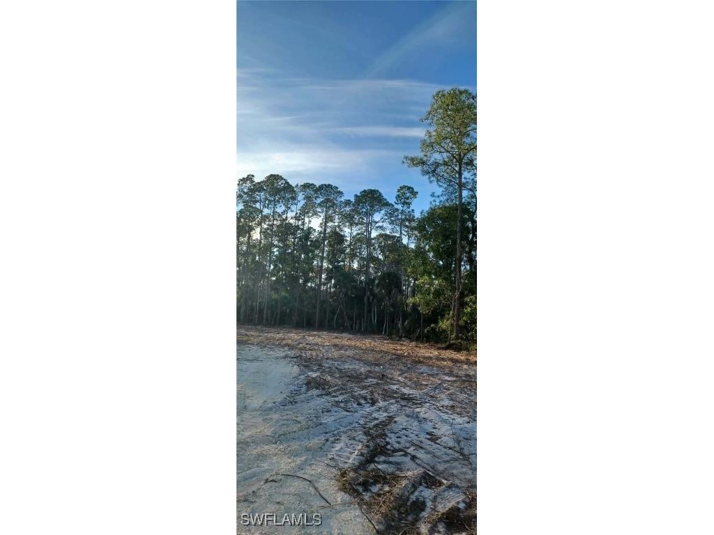  Naples FL 34117 225084475 image7
