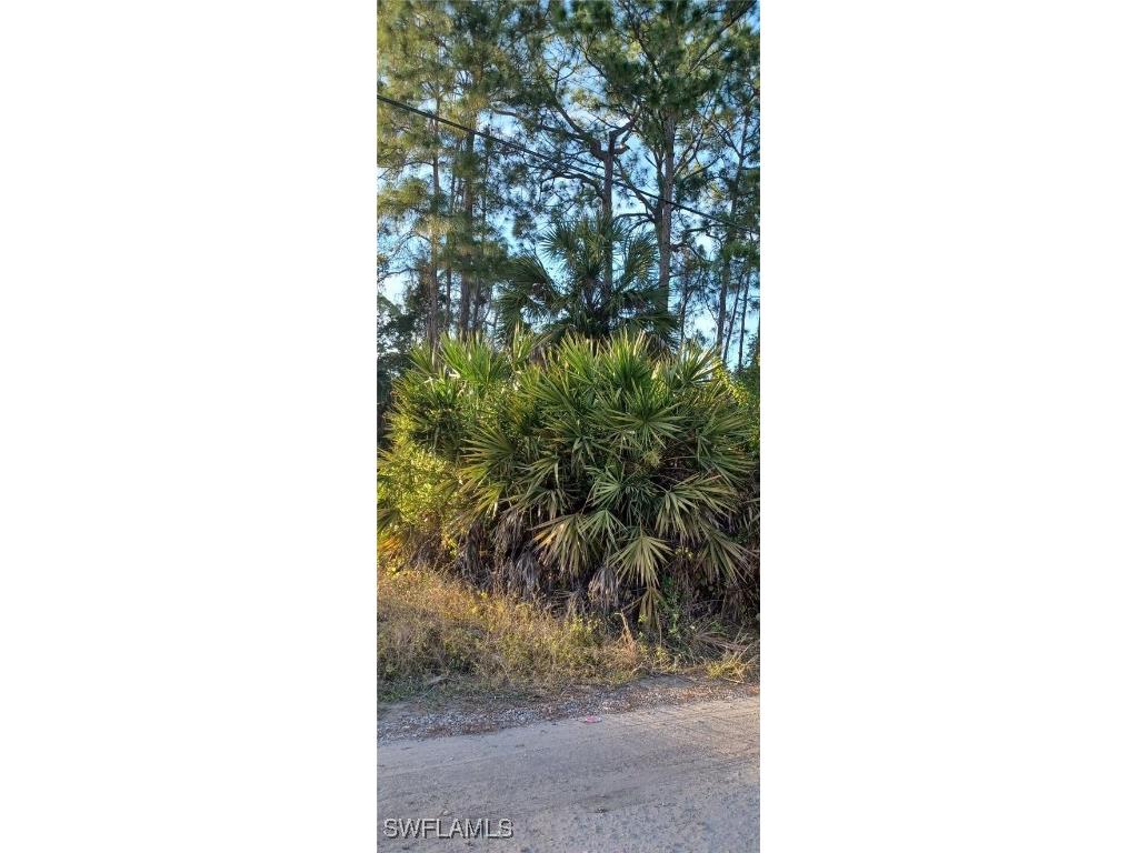  Naples FL 34117 225084475 image8