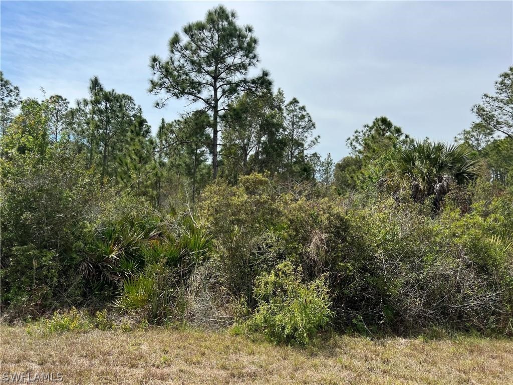 2114 Oceano Street Lehigh Acres FL 33972 224046618 image1