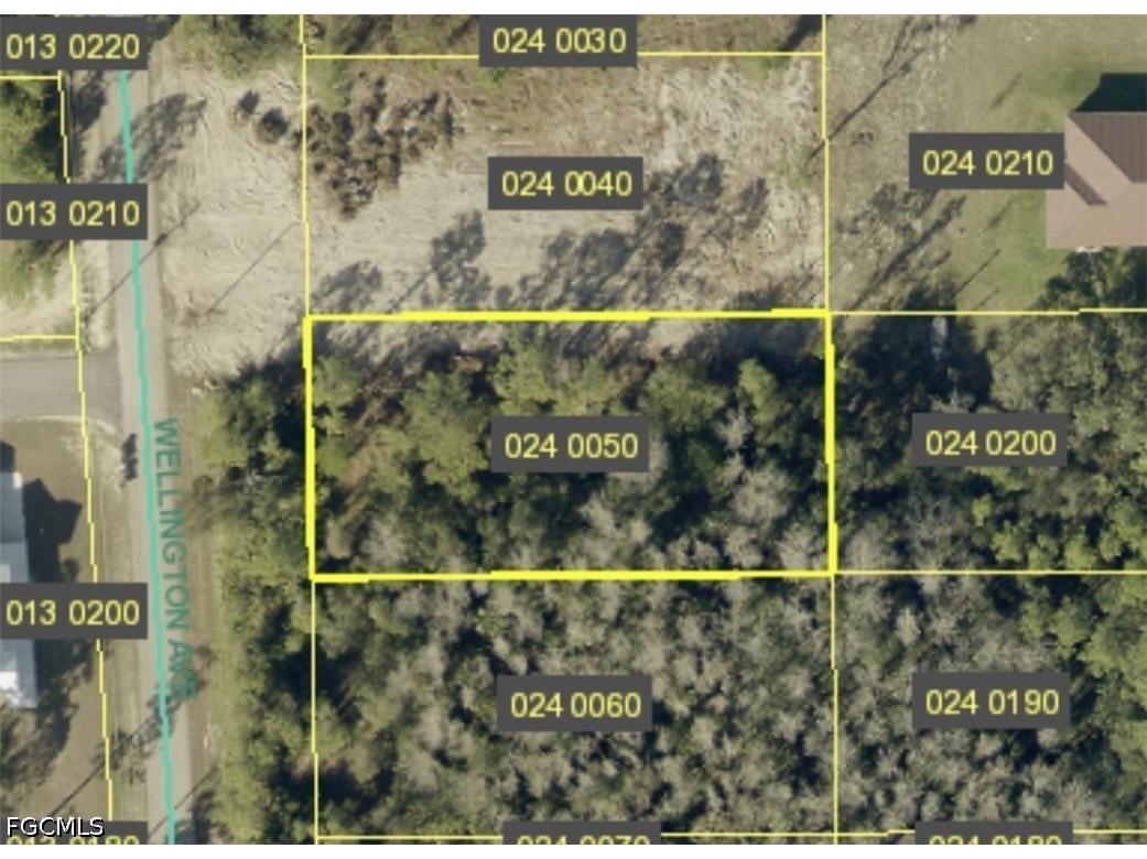2114 Wellington Avenue Alva FL 33920 2026029096 image2