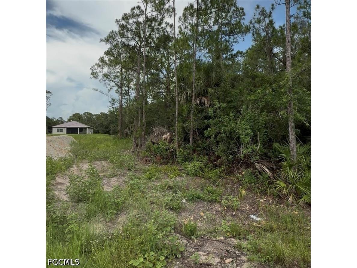2114 Wellington Avenue Alva FL 33920 2026029096 image3