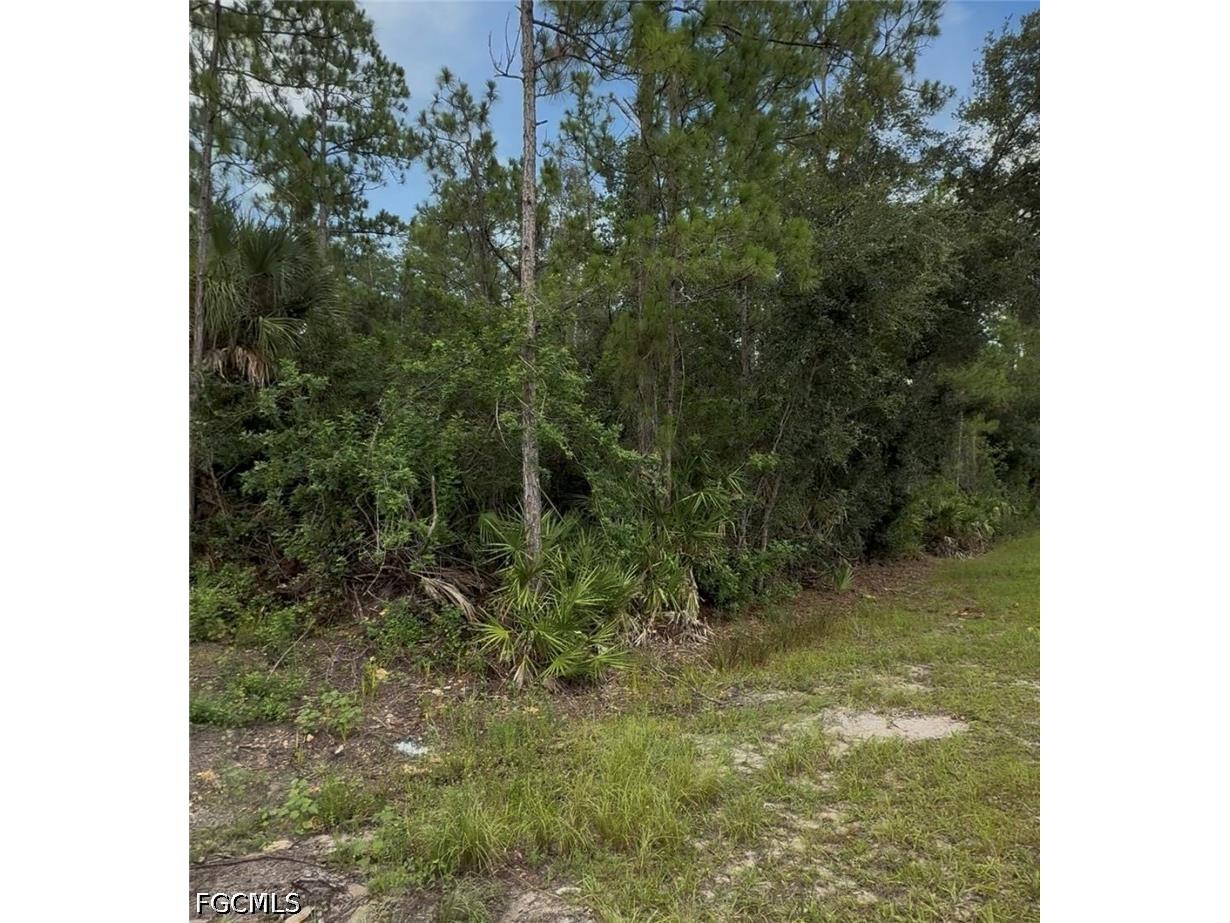 2114 Wellington Avenue Alva FL 33920 2026029096 image4