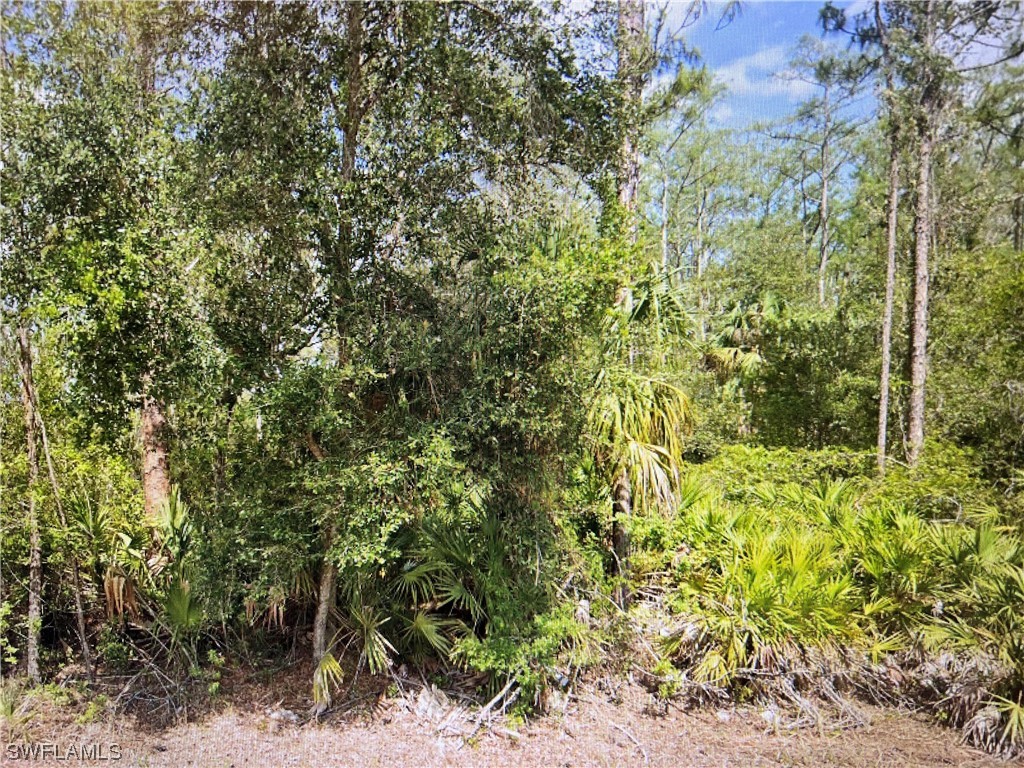 2114 Wellington Avenue Alva FL 33920 223087954 image1