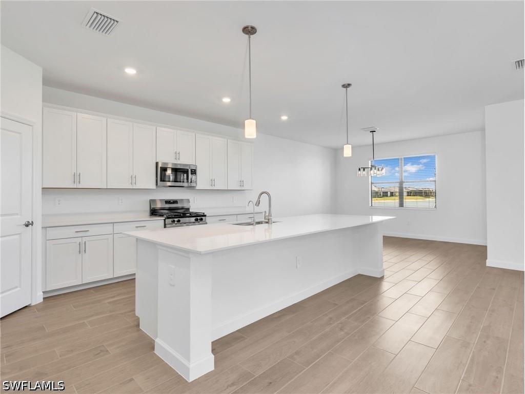 21143 Verawood Loop Estero FL 33928 226025289 image11