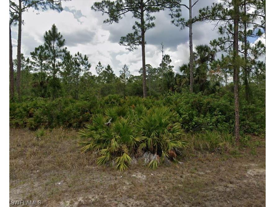 2115 Polar Avenue Alva FL 33920 223057947 image1